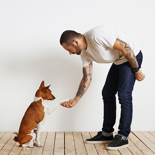 Man bending down to shake hands with dog