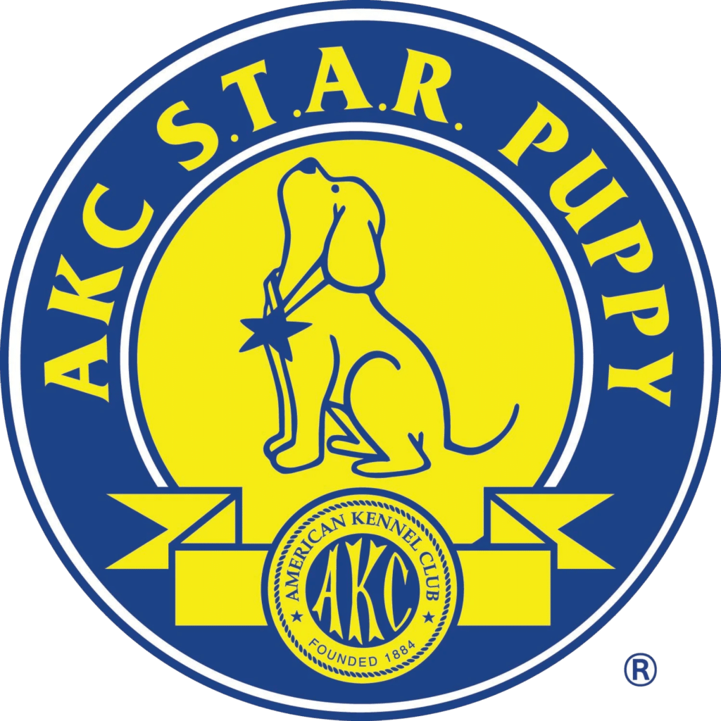 AKC S.T.A.R. Puppy distinction