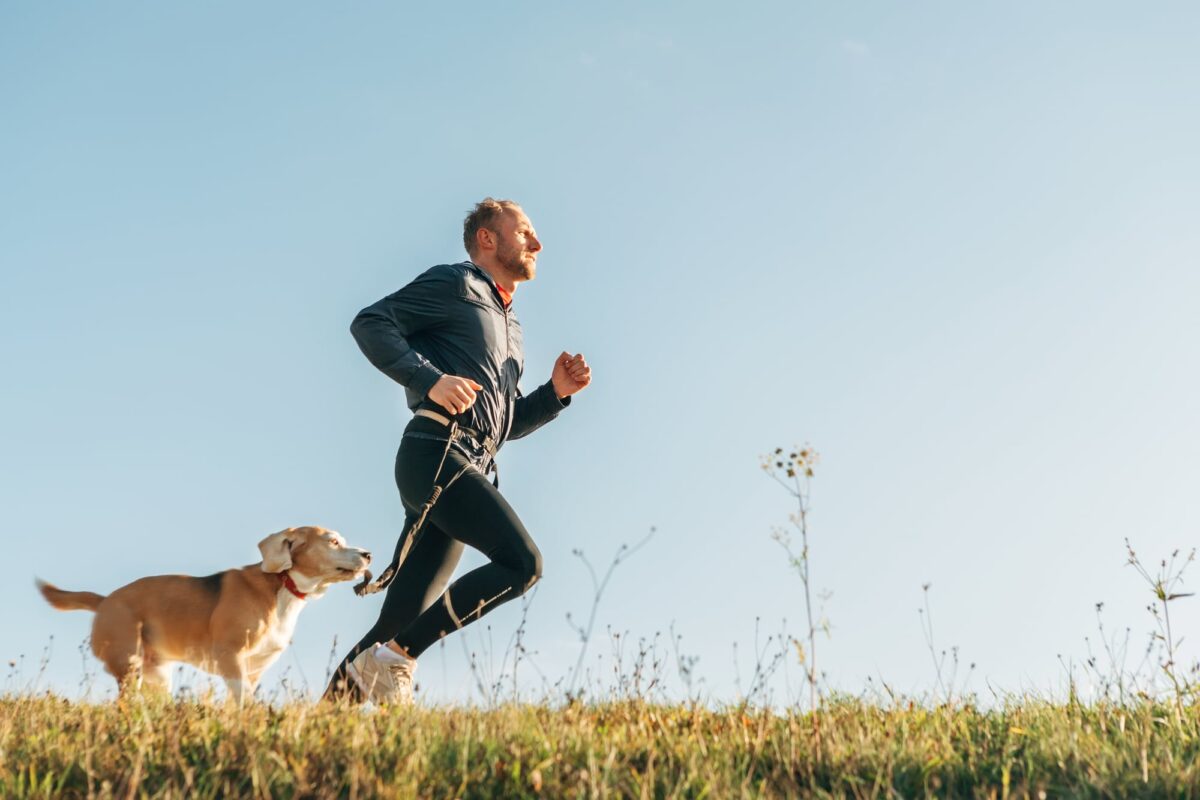 6 Ways To Exercise with Your Dog - All Stage Canine Development