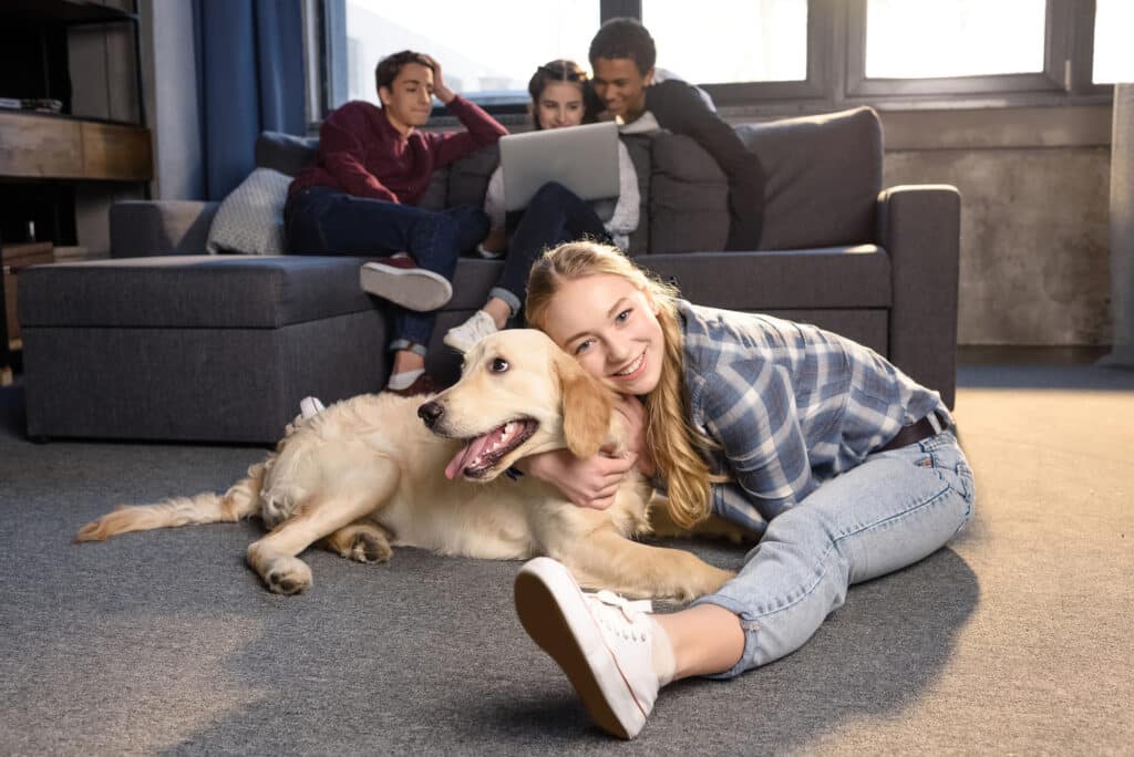 Golden Retriever - Diabetic alert dog