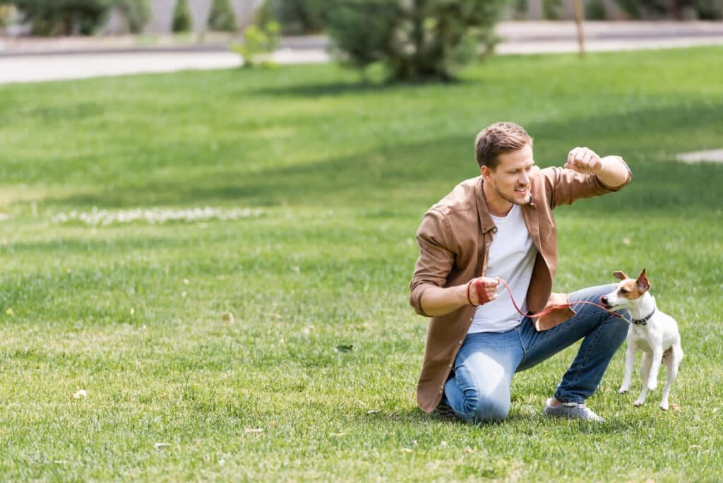 Keys to Successful Dog Training