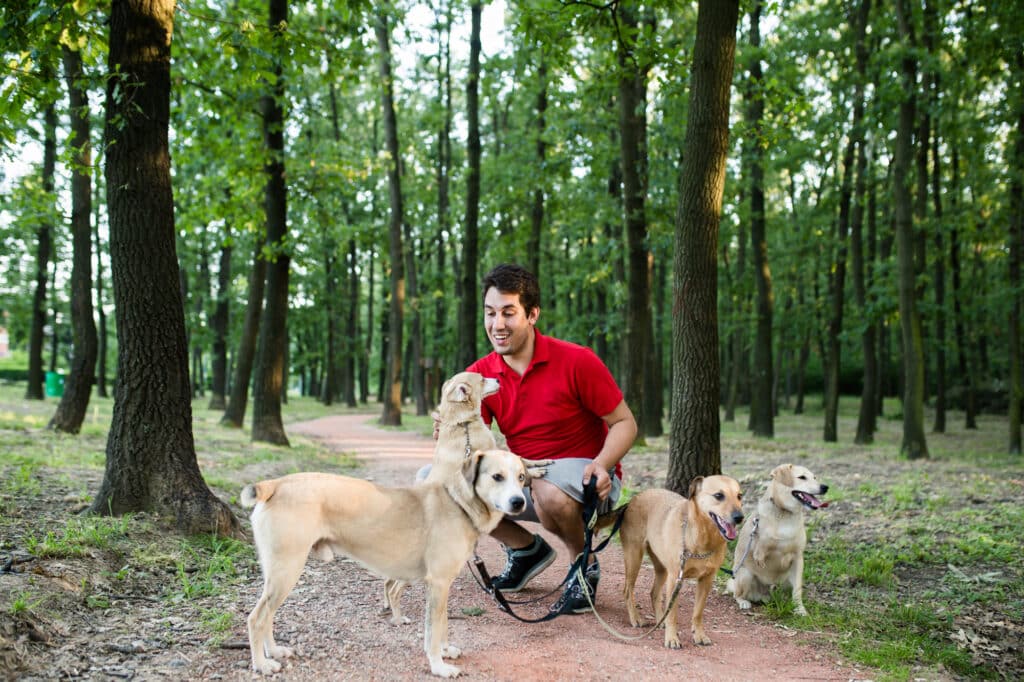 What Breed Makes The Best PTSD Service Dog?