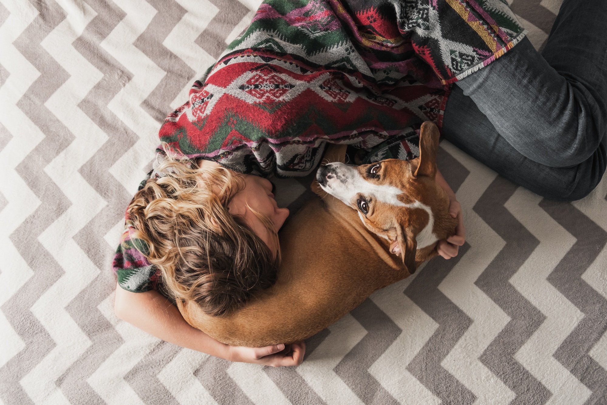 Support animal multiple sales sclerosis