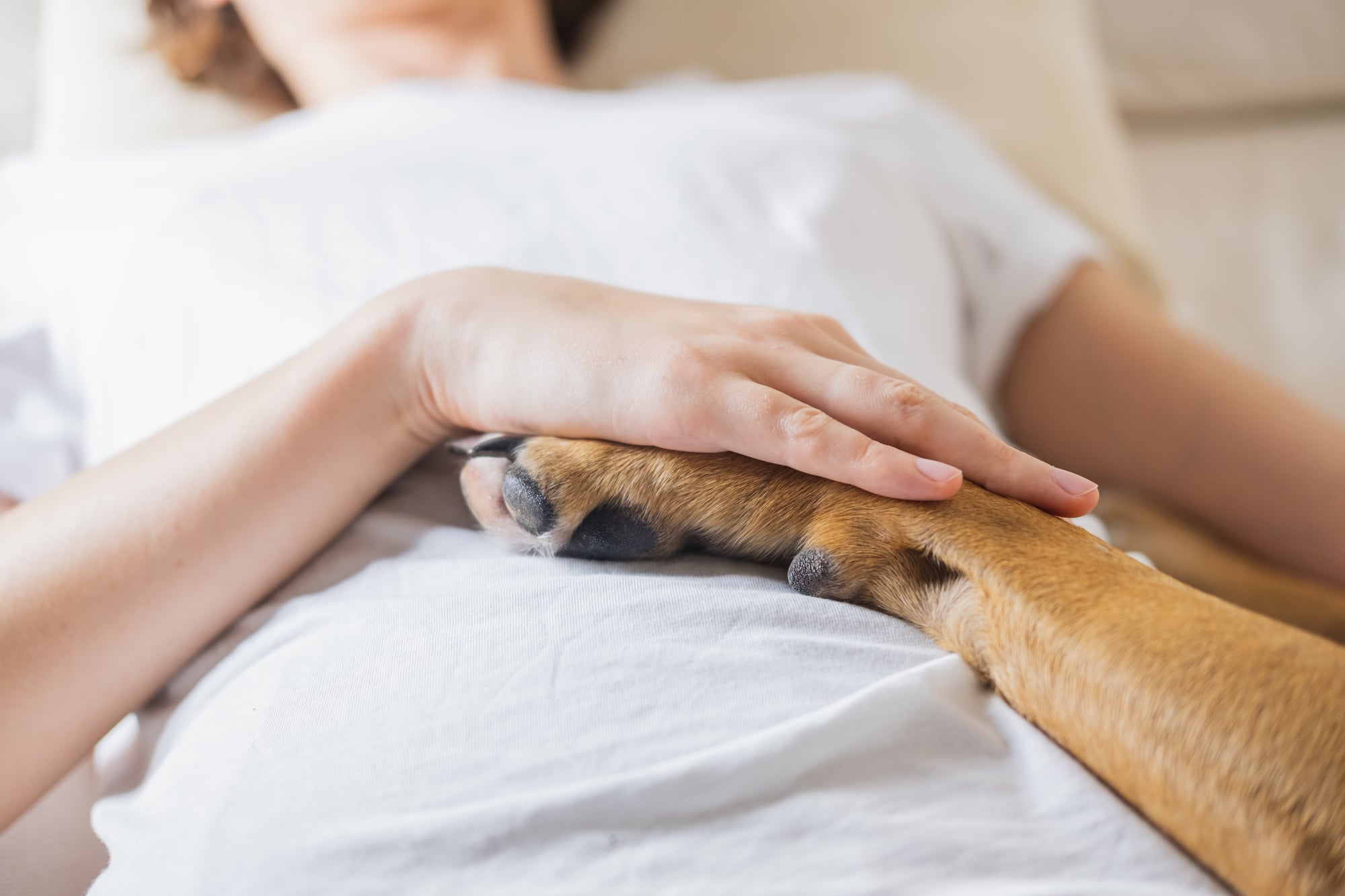 Service Dogs for People with Spinal Cord Injury