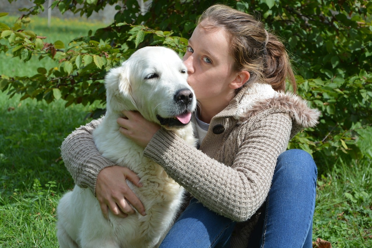 Benefits of Therapy Dogs