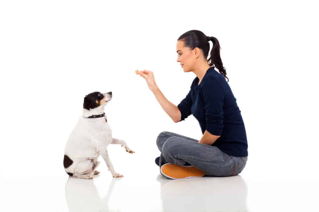 Dog Training Positive Reinforcement and Operant Conditioning