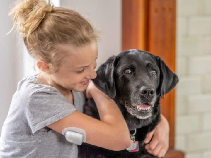 Navigating Insurance Options for  Diabetic Alert Dogs