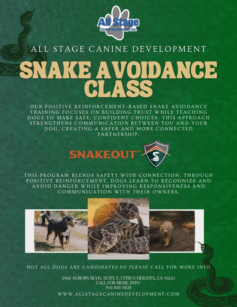 Snake Avoidance Class